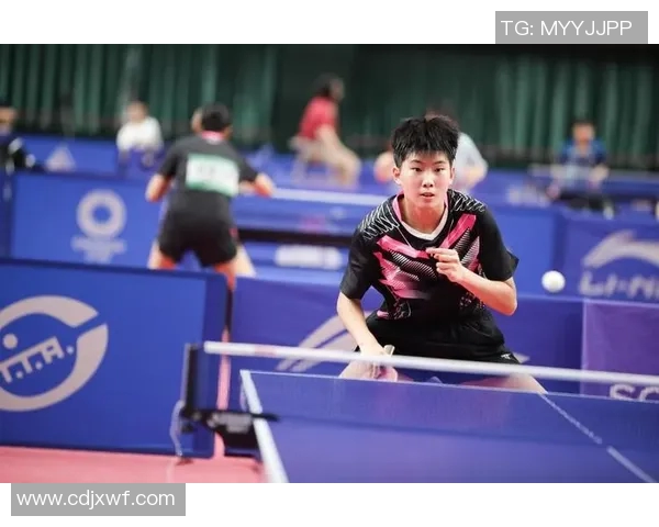 西安乒乓球队灵活性深度解析与其他球队的对比研究