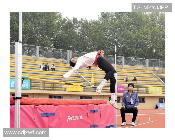 西安羽毛球队的控制革新探索与实践:推动竞技水平提升的新路径